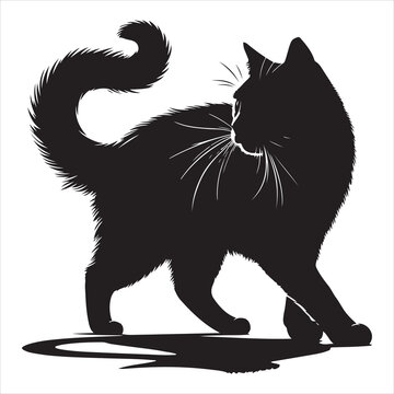 Realistic Cat Silhouette - The Charm of Everyday Feline Life  , black colour vactor 