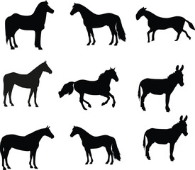 Silhouettes of Horses and Donkeys in Various Poses