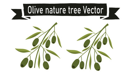 Olive nature tree vector 
