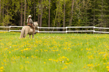 Cowgirl riding on horse (Icelandic horse). Green meadow and trees
