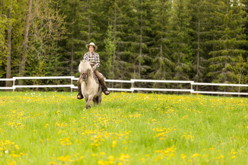 Cowgirl riding on horse (Icelandic horse). Green meadow and trees