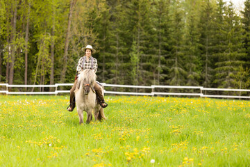 Cowgirl riding on horse (Icelandic horse). Green meadow and trees