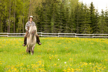 Cowgirl riding on horse (Icelandic horse). Green meadow and trees
