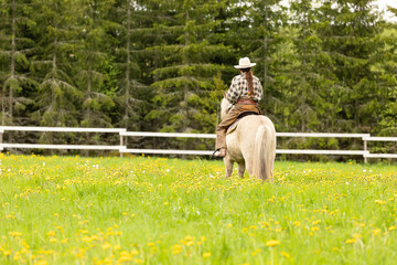 Cowgirl riding on horse (Icelandic horse). Green meadow and trees