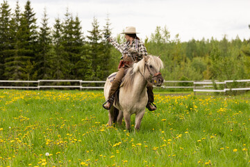 Cowgirl riding on horse (Icelandic horse). Green meadow and trees