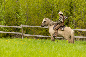 Cowgirl riding on horse (Icelandic horse). Green meadow and trees