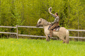 Cowgirl riding on horse (Icelandic horse). Green meadow and trees