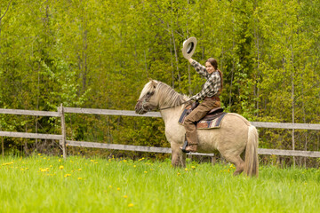 Cowgirl riding on horse (Icelandic horse). Green meadow and trees