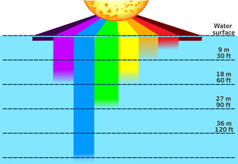 Light absorption in water and penetrating levels. Red, yellow, green, blue, violet, color light frequency, rainbow in sea. Visible electromagnetic spectrum diagram. Vector illustration
