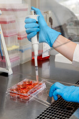 A skilled hand in a blue glove pipettes a red liquid into the wells of a plate for laboratory work.