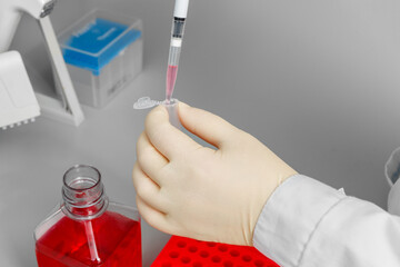 A hand in a light-colored glove carefully adds a pink reagent to a small test tube in a laboratory with a pipette.