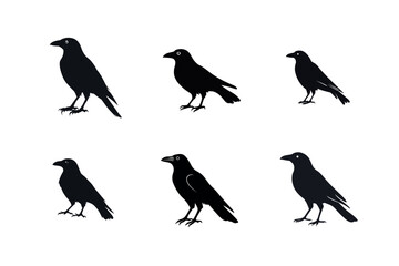 Six black crow silhouettes bird vector illustrations