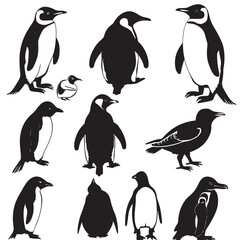Naklejka premium Penguins silhouette isolated in White background 