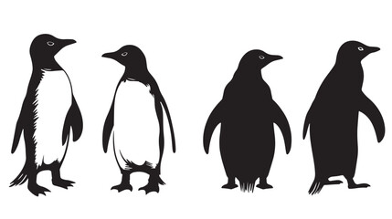 Naklejka premium Penguins silhouette isolated in White background 