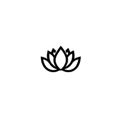 Fototapeta premium lotus flower isolated on white background