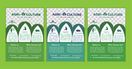 a bundle of 3 templates agriculture flyer design, in blue color, and modern design,marketing,agricuiture proposal, promotion, advertise, publication and editable vector template desig