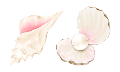 Watercolor seashell clipart set: pink conch and open shell with pearl. Hand-painted illustrations for packaging, textile, prints, beach-themed design