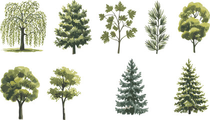 Vector collection of hand-drawn trees including pine, maple, willow, and foliage types, perfect for landscape design, nature themes, eco concepts, and botanical art