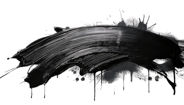 black ink splat isolated on white transparent background PNG