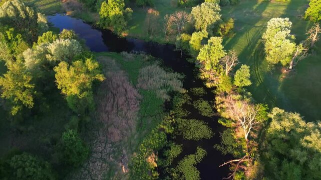 Aerial view of the Rogalin Landscape Park, Poland.