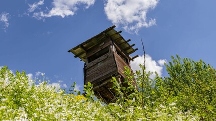 Rustic wooden lookout tower in nature