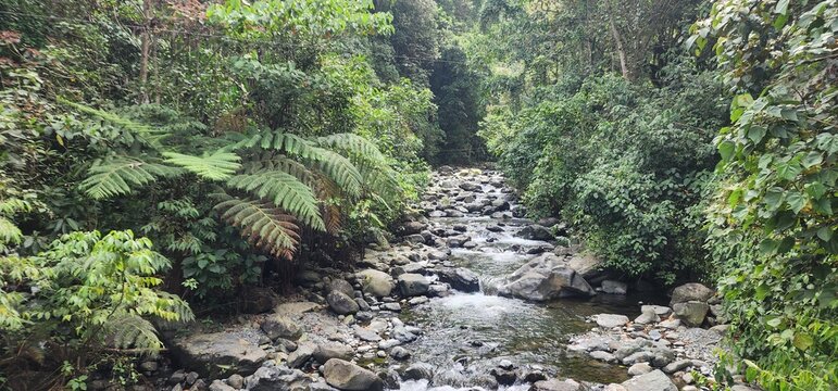 farallones de cali