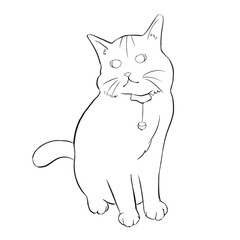 cat, coloring pictures 