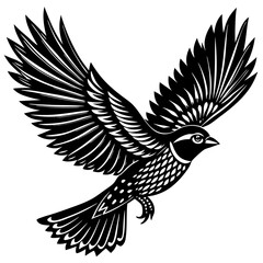 Obraz premium rapid wingbeats flight