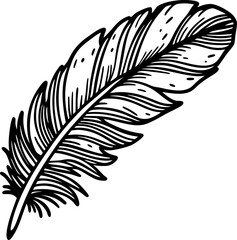 Obraz premium Detailed hand drawn feather illustration vintage quill design, elegant bird plumage for natural art, tattoo, decoration