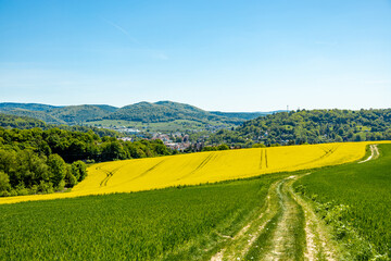 Fototapeta premium Frühsommerliche Wanderung rund um die Fachwerkstadt Schmalkalden am Südwesthang vom Thüringer Wald - Thüringen - Deutschland 