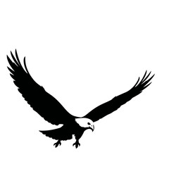 Obraz premium Black And White Eagle Silhouette Soaring In Flight