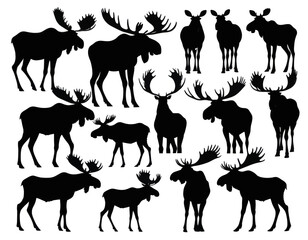 Collection Of Animal Silhouettes On Plain Background