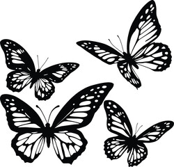 Set of Detailed Butterfly Silhouettes - Black and White Vector Illustrations