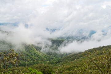 Mist in the valley during the Rain Season.Natural Rain Season landscape Northern Thailand.