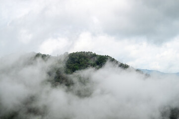 Mist in the valley during the Rain Season.Natural Rain Season landscape Northern Thailand.