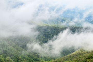 Mist in the valley during the Rain Season.Natural Rain Season landscape Northern Thailand.