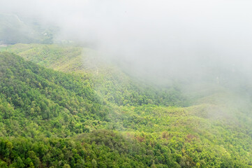 Mist in the valley during the Rain Season.Natural Rain Season landscape Northern Thailand.