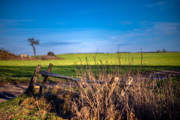 Stary płot na miedzy
