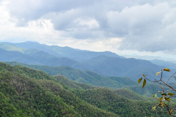 Mist in the valley during the Rain Season.Natural Rain Season landscape Northern Thailand.
