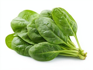 Fresh spinach leaves ready for salads and cooking, showcasing vibrant green color on a white background for culinary use