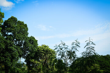 Majestic Landscapes of Sri Lanka. Breathtaking Beauty Capturing the Serene Essence of Nature in Stunning Landscapes. A Journey Through Picturesque Nature Landscapes. The beauty of Nature’s Landscape
