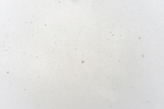 空から降ってくる雪
