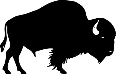 buffalo vector illustration
