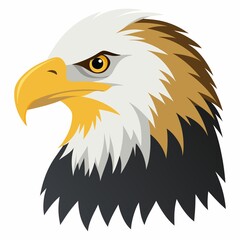 american bald eagle vector illustration