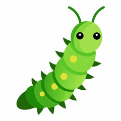 green caterpillar on white background