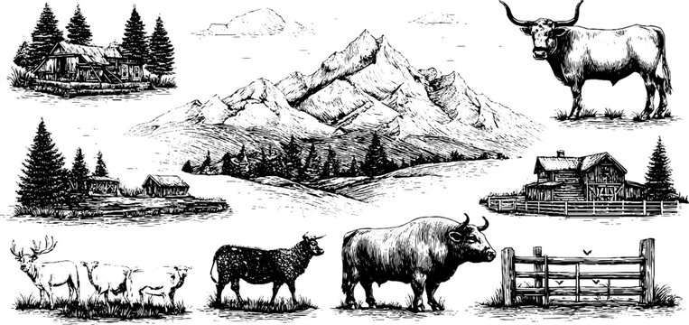 Engraved cattle ranch scene with mountains and rustic farm elements for vintage design