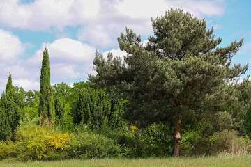 Sunlit Splendor Scenic Nature Landscape