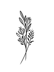 Beautiful Black and White Flower