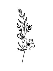 Beautiful Black and White Flower