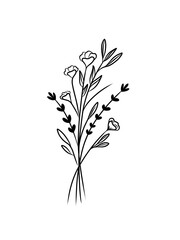 Beautiful Black and White Flower